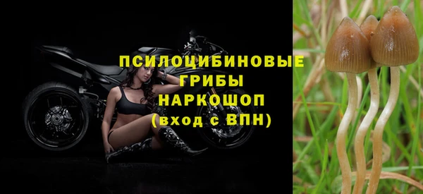 ECSTASY Верея