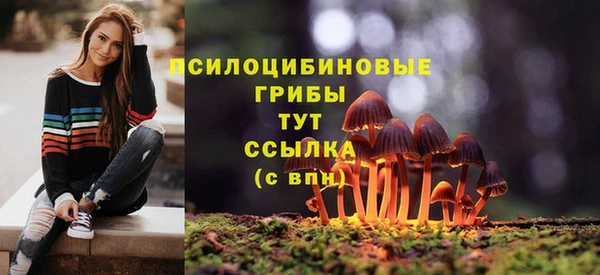 гидра Верхнеуральск