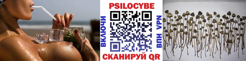 omg зеркало  Великий Новгород  Галлюциногенные грибы мицелий 